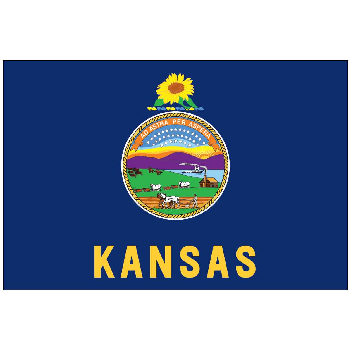 Kansas 4" x 6" Mounted State Flag