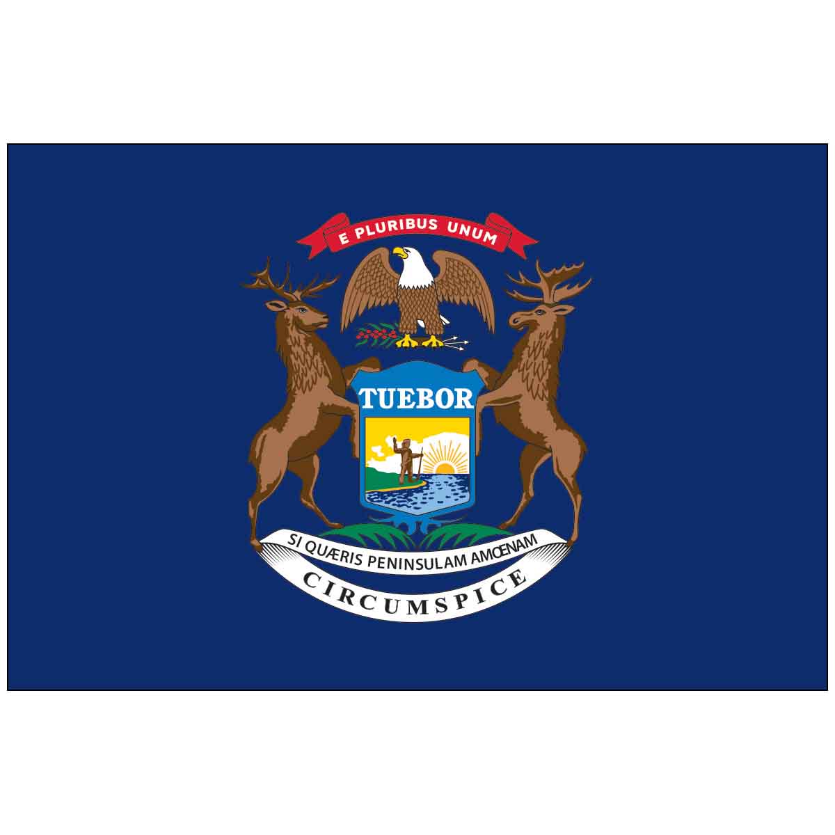 State 4" x 6" Mounted E-Gloss Flags