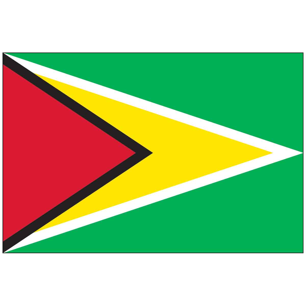 Guyana (UN/OAS) World Flag