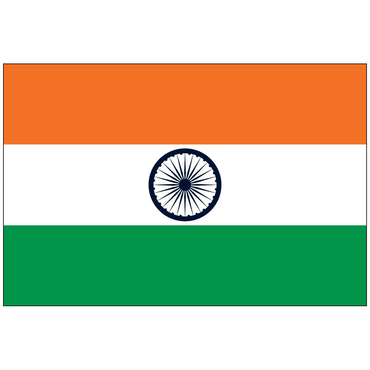 3' x 5' India (UN) World Flag