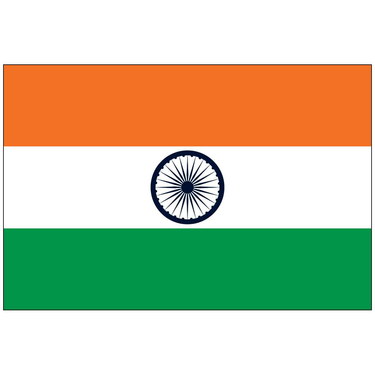 3' x 5' India (UN) World Flag