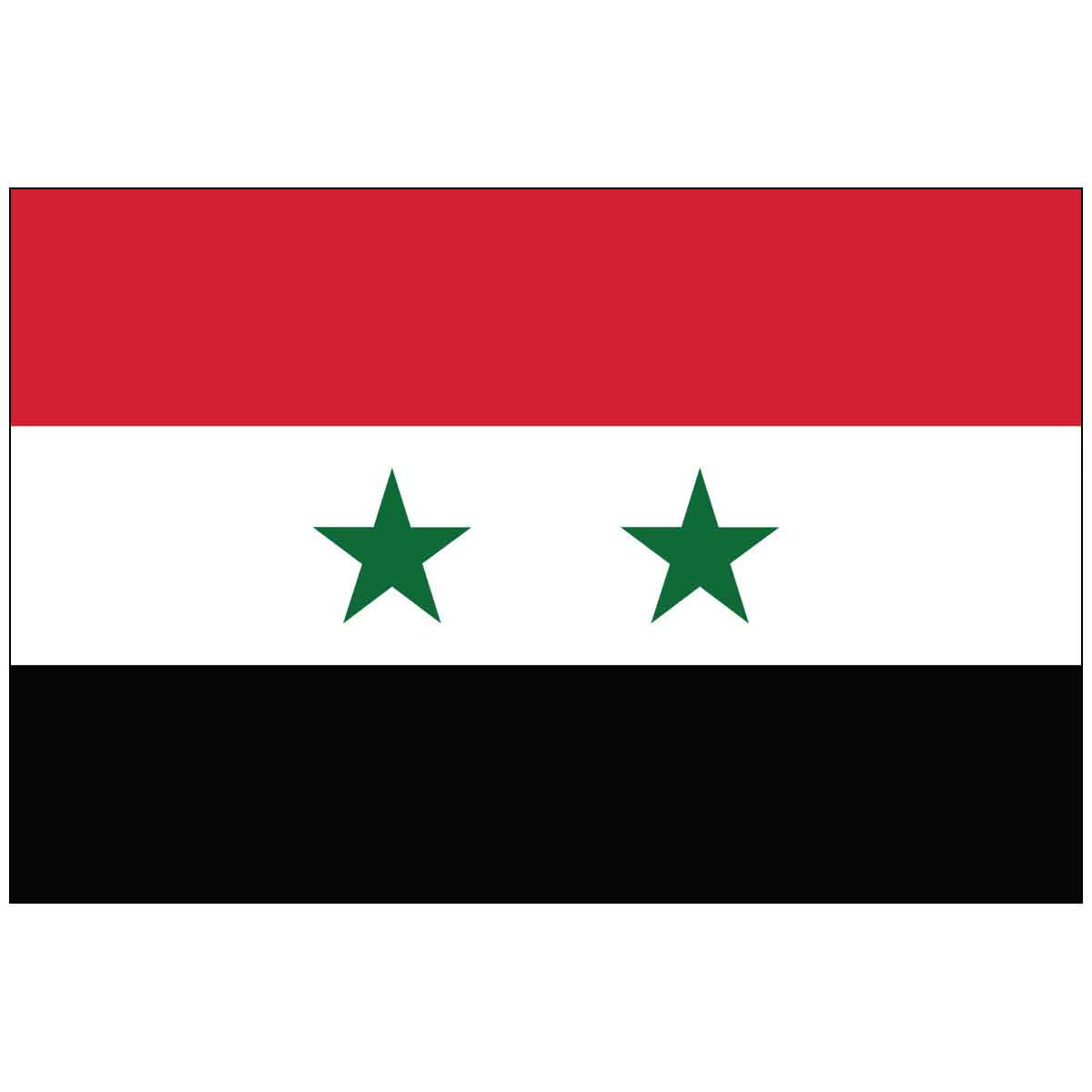 Syria (UN) World Flag