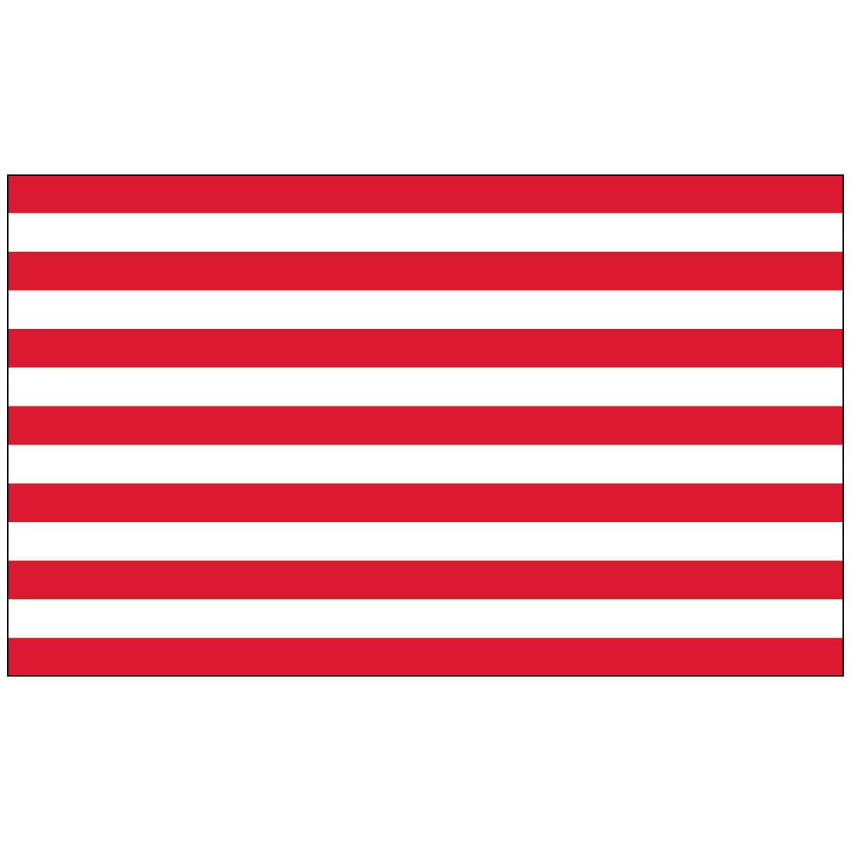 Sons of Liberty Outdoor Flag