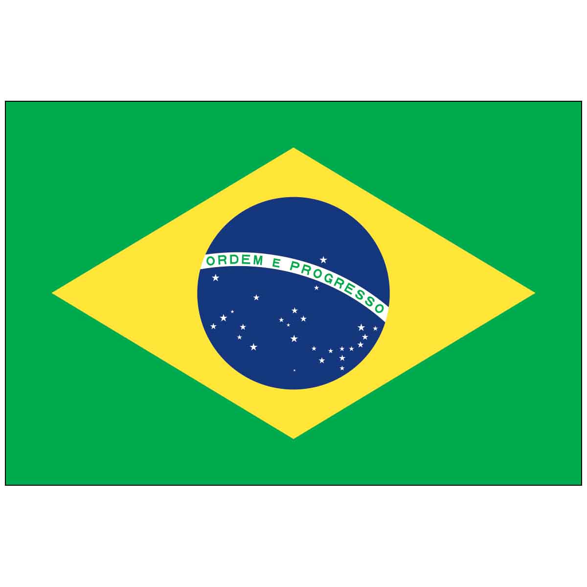 3' x 5' Brazil (UN/OAS) World Flag - e-poly
