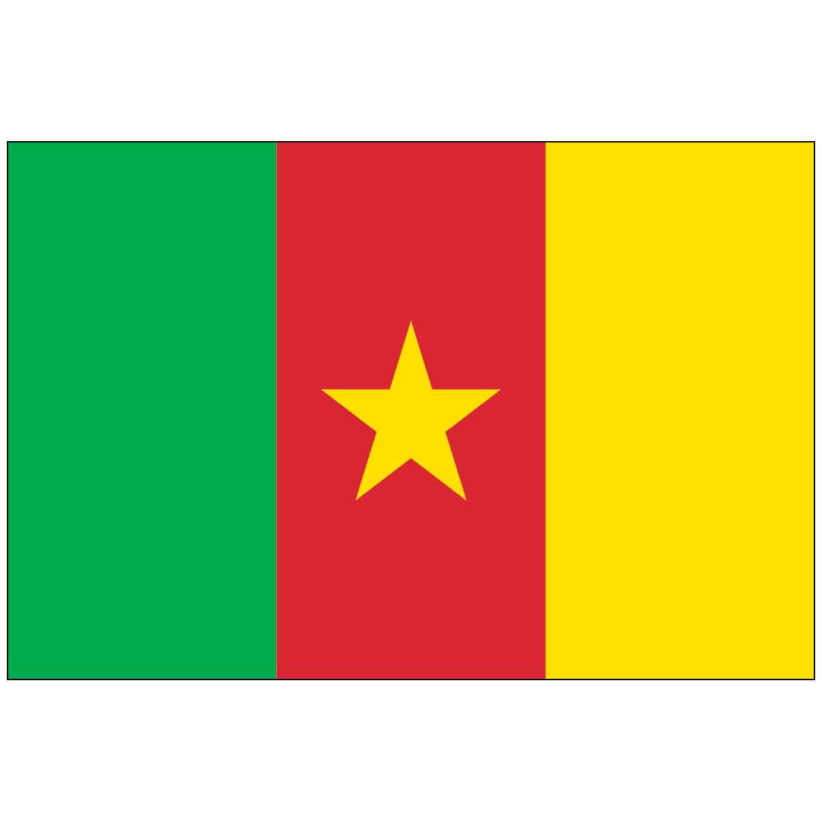 4" x 6" Mounted Endura-Gloss Cameroon World Flag