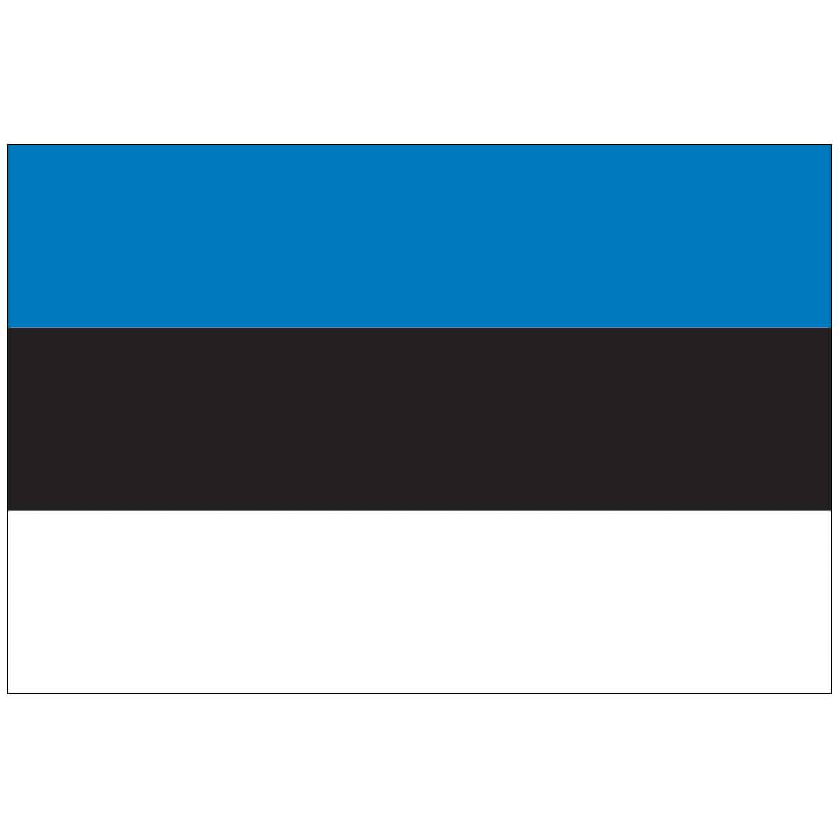 Estonia (UN) World Flag