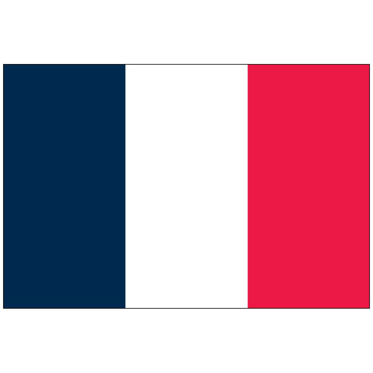 3' x 5' France (UN) World Flag