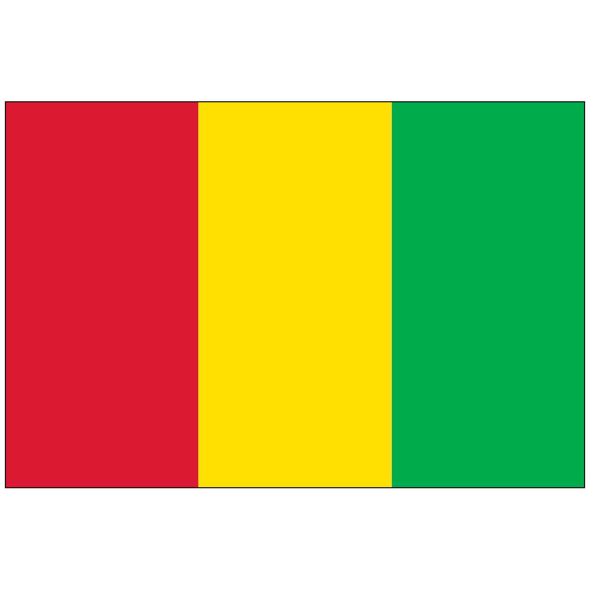 4" x 6" Mounted Endura-Gloss Guinea World Flag