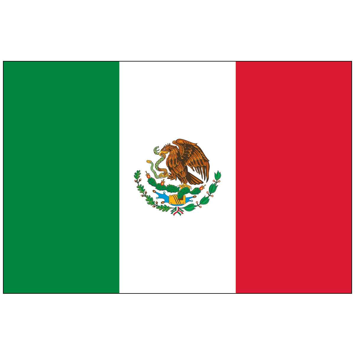 3' x 5' Mexico (UN/OAS) World Flag