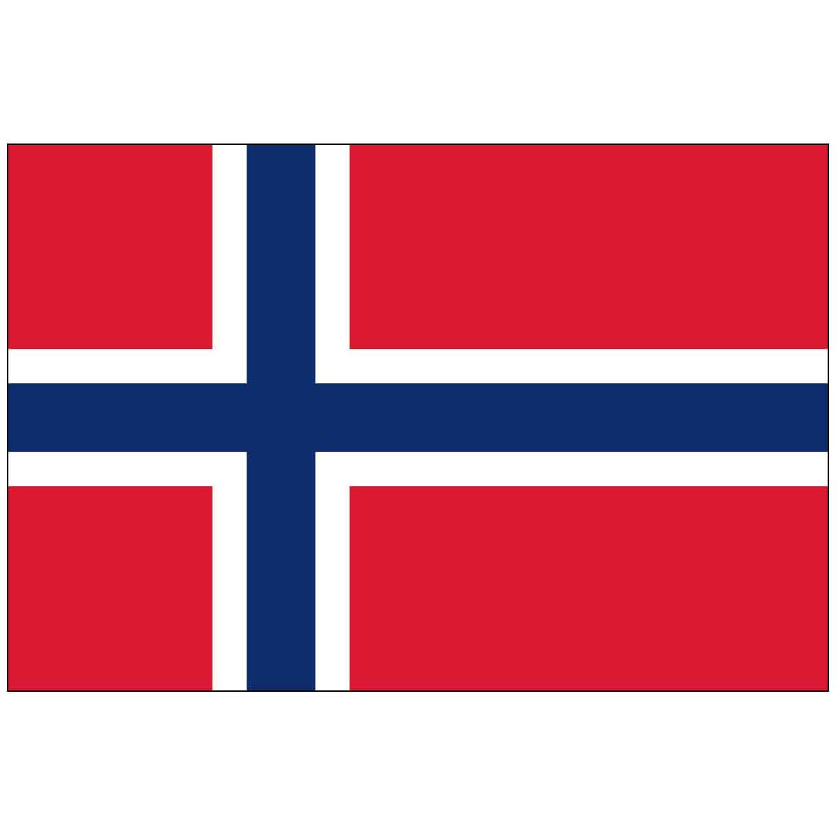 3' x 5' Norway (UN) World Flag - e-poly
