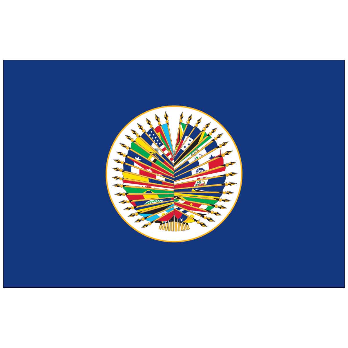 OAS World Flag
