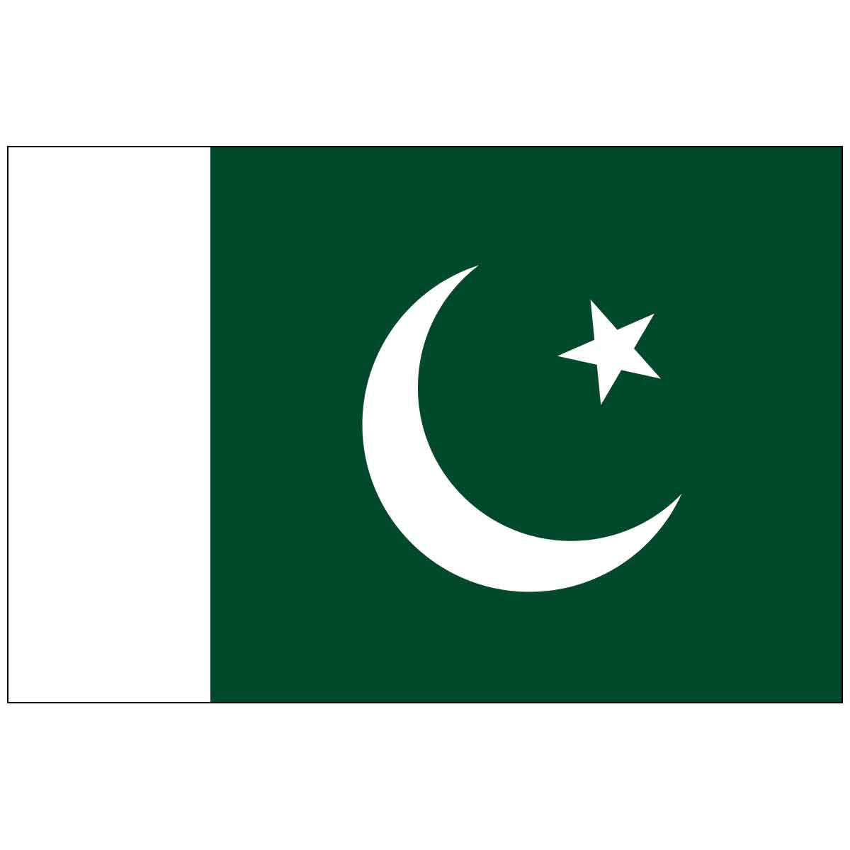 Pakistan (UN) World Flag