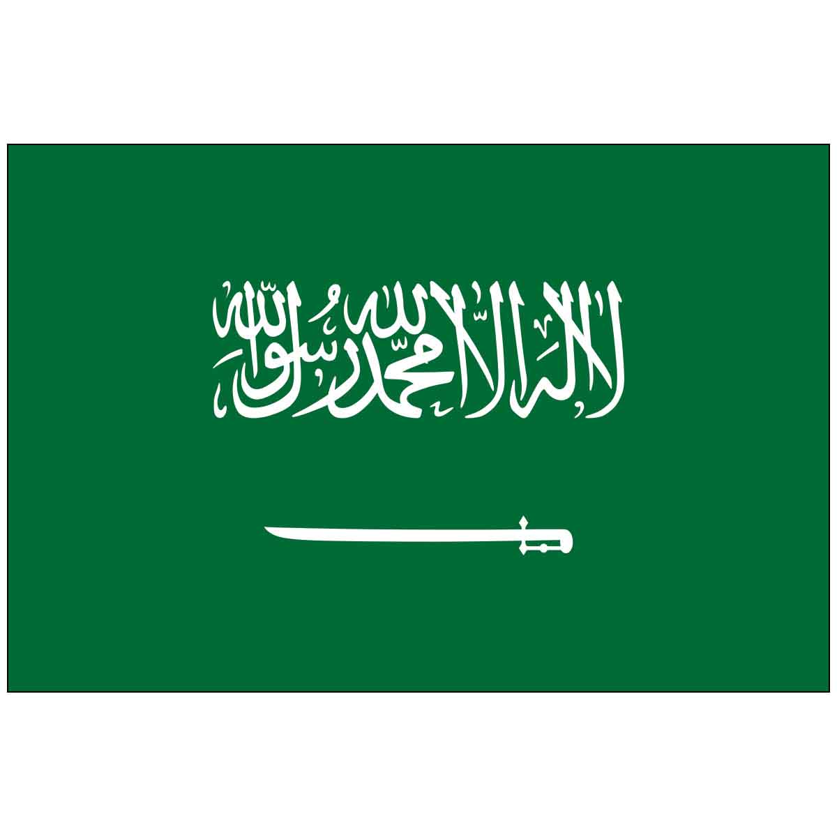 Saudi Arabia (UN) World Flag