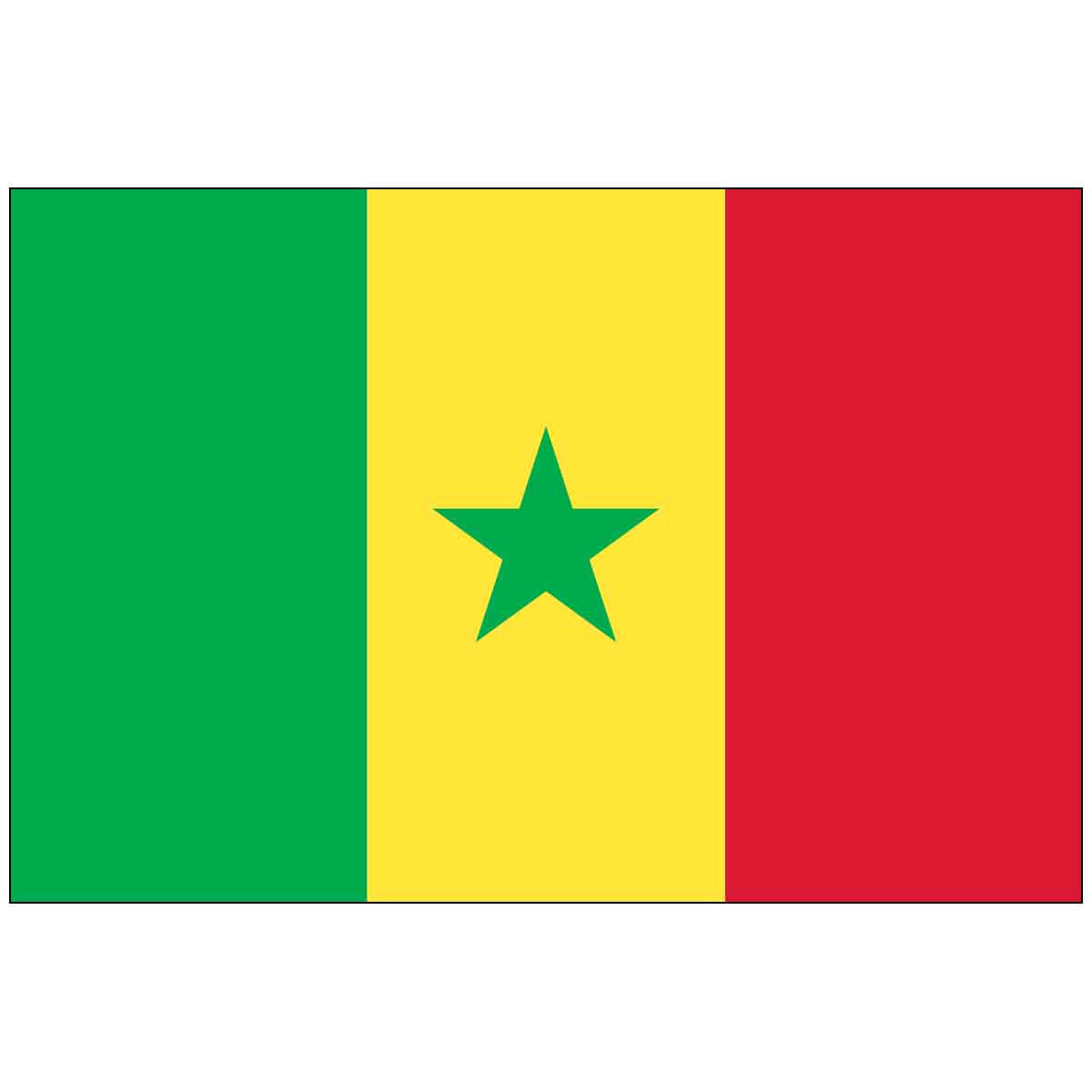 Senegal (UN) World Flag