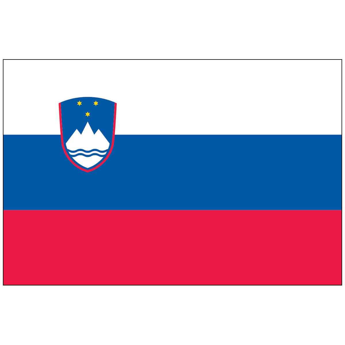 Slovenia (UN) World Flag
