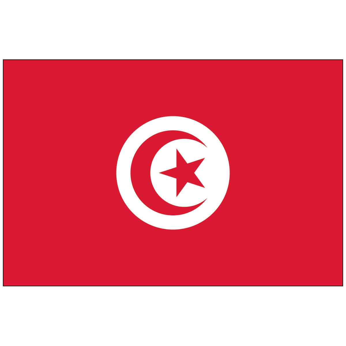 Tunisia (UN) World Flag