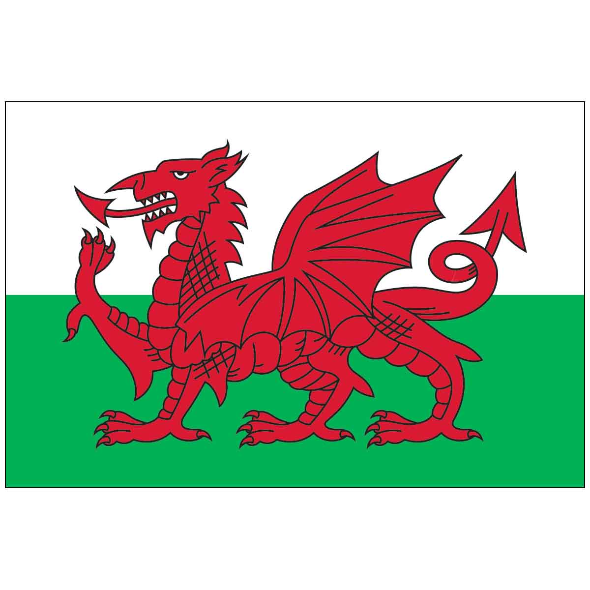 Wales World Flag