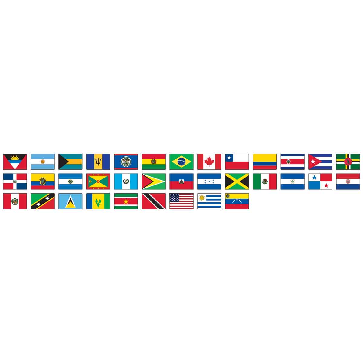 35 Member Complete O.A.S. Outdoor Flag Sets